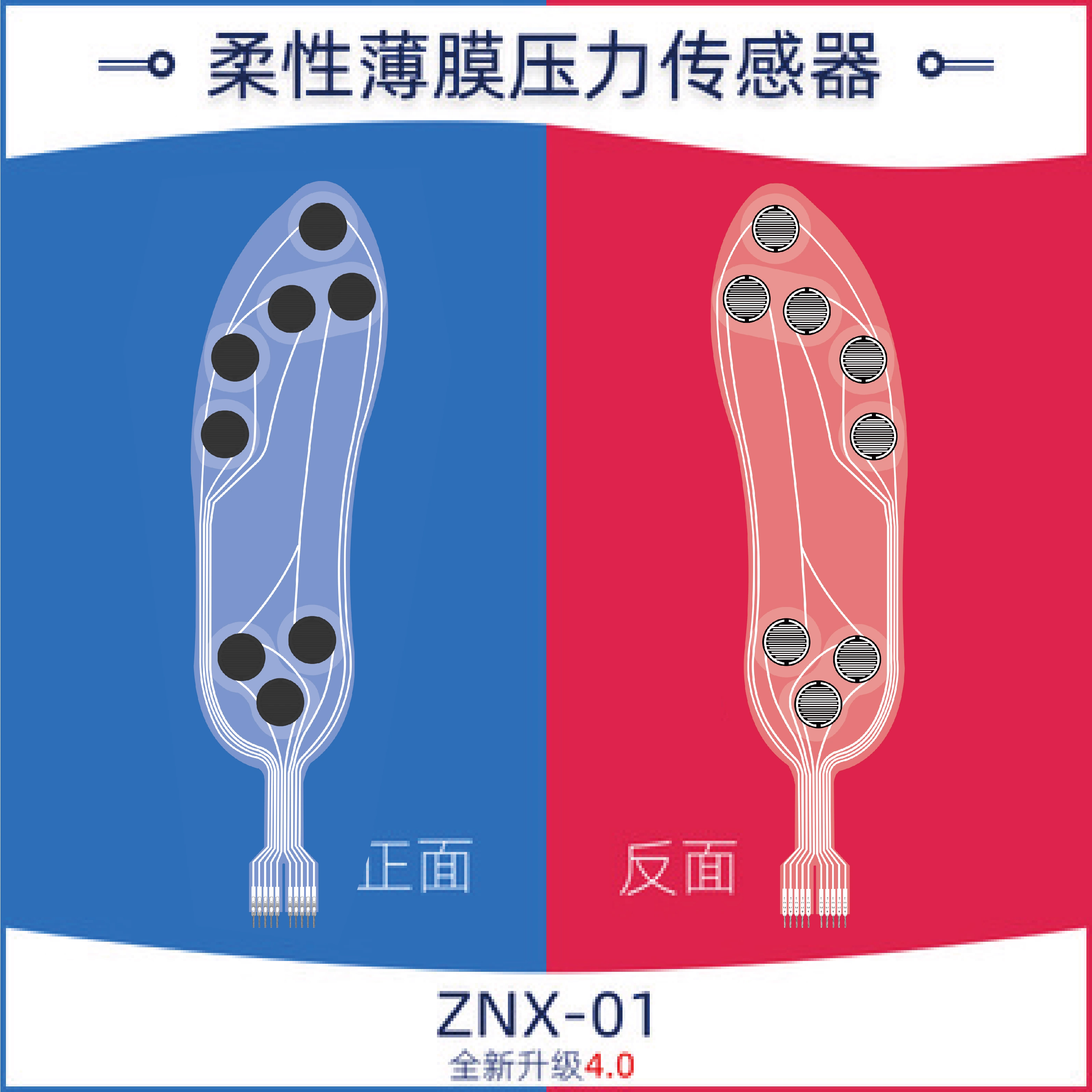 Flexible Thin Film Pressure Se - Smart Insole Pressure 评论和价格